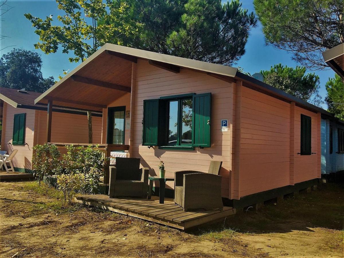 Tuscany Casa vacanze Viareggio